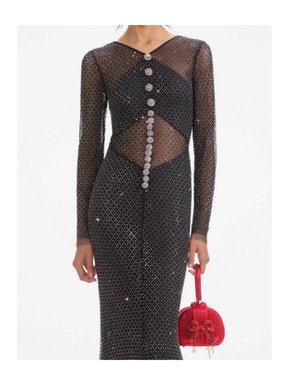 Self-Portrait Black Sheer Maxi Dress with Sparkle